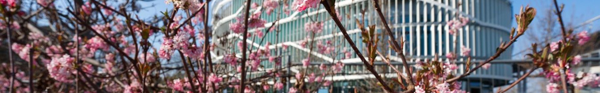 A Neumann János Egyetem töretlenül építkezik tovább!