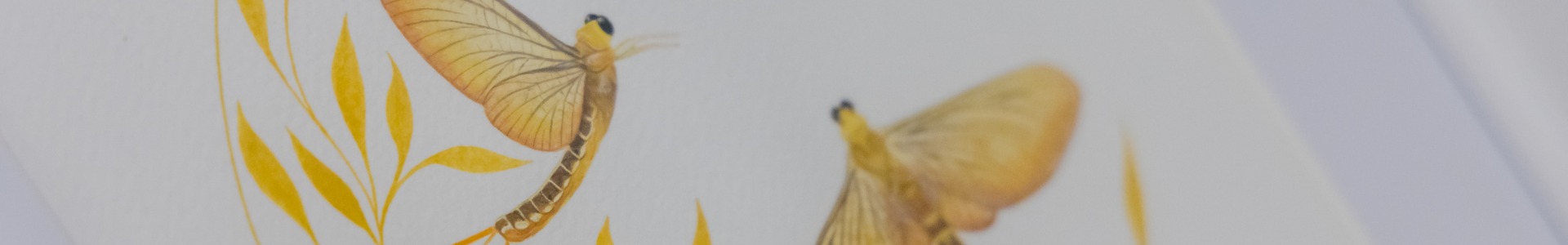 Gácsi Ágnes festőművésznő kiállításáról képekben