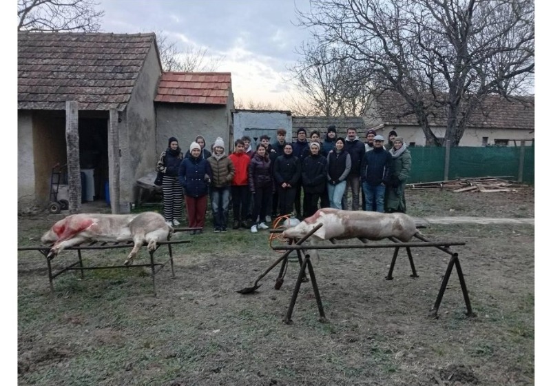 Hagyományos disznóvágás a Válaszút Táncegyüttessel