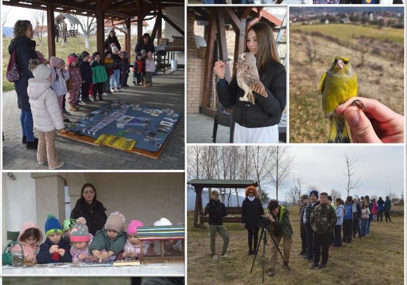 Ismerkedés a vadmadarak színes világával