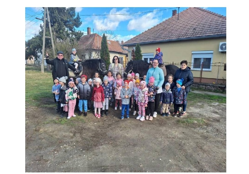 Lovas terápia fogyatékkal élőknek