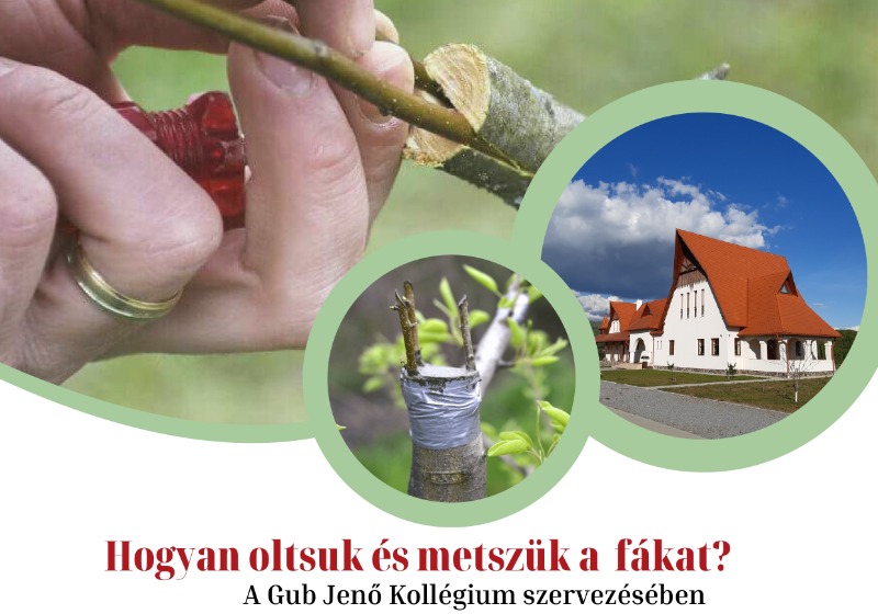 Hogyan oltsuk és metszük a fákat?