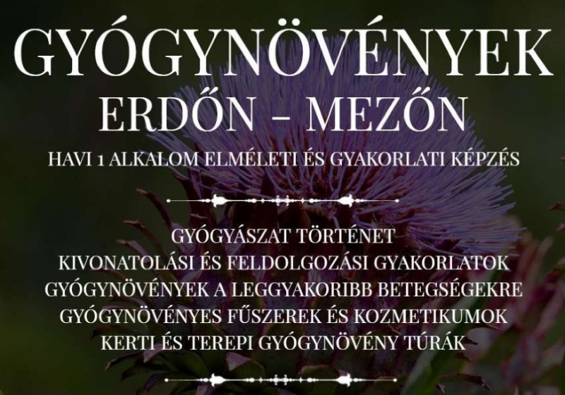 Műhely Közhasznú Alapítvány és Népfőiskola Őszi gyógynövényes képzés indul a mezőörsi népfőiskolán
