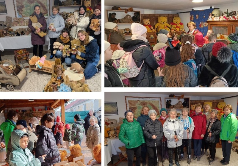 Nagy az érdeklődés a macikiállítás iránt